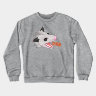 Pronoun opossum Xe/Xem Crewneck Sweatshirt